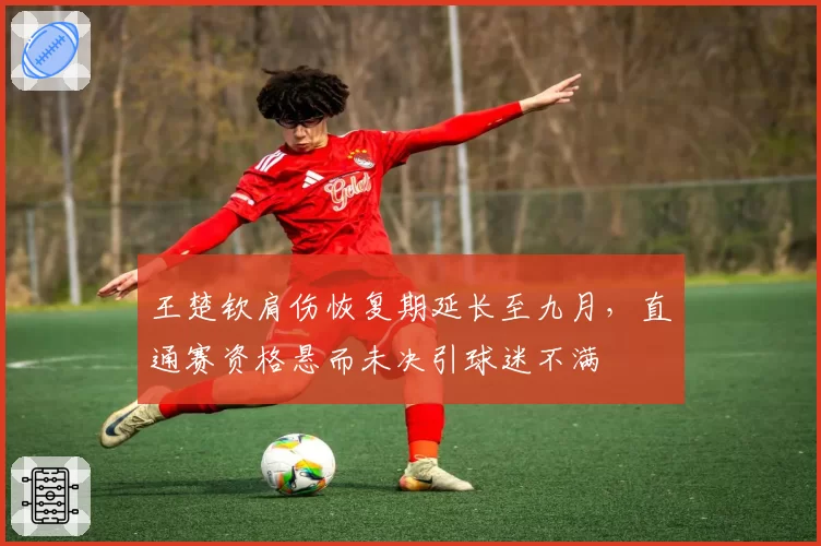 王楚钦肩伤恢复期延长至九月，直通赛资格悬而未决引球迷不满