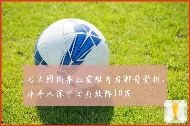 尤文图斯弗拉霍维奇肩胛骨骨折，非手术保守治疗缺阵10周
