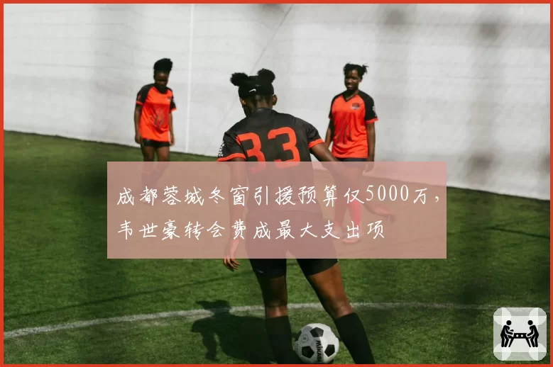 成都蓉城冬窗引援预算仅5000万，韦世豪转会费成最大支出项